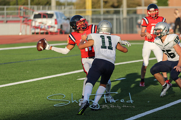 vs Reedy-1875
