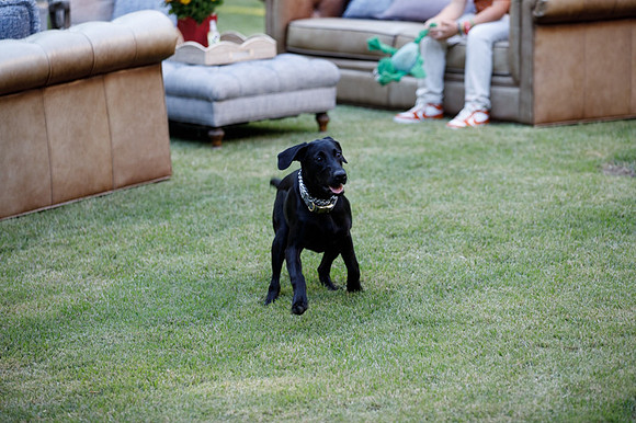 2025 TX-OU Game Day Party-30