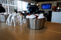 Geek+ Event Dallas-0932