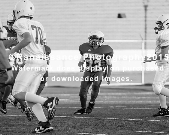 untitled (560 of 340)