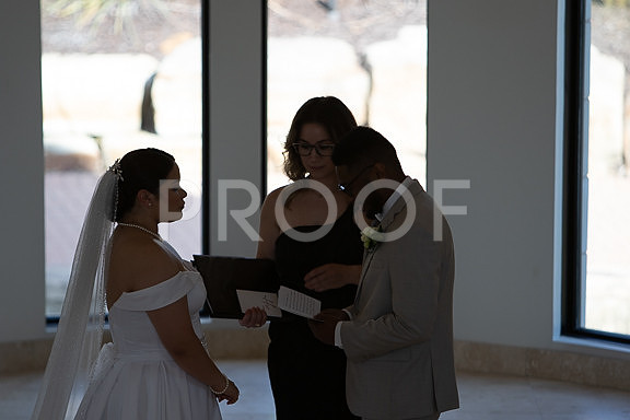 Eric & Alex Wedding-240