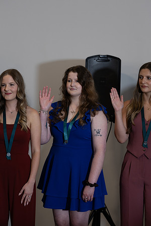 USA Pinning -8686