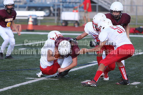 vs Stafford B--3843