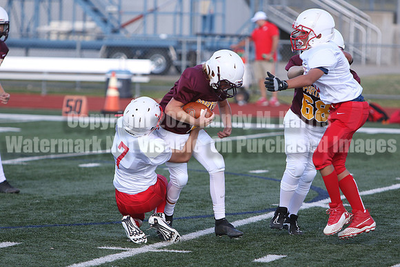 vs Stafford B--3838