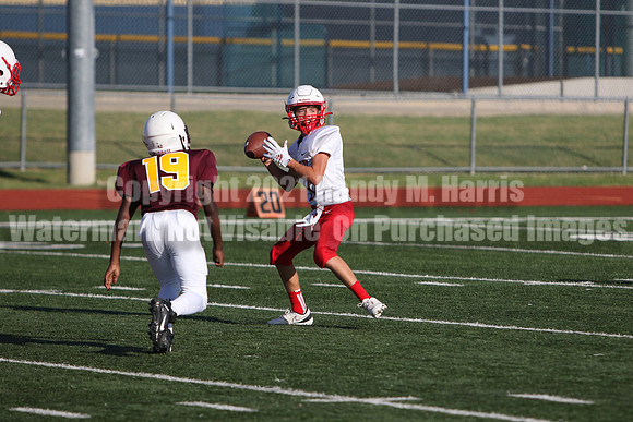 vs Stafford B--3911