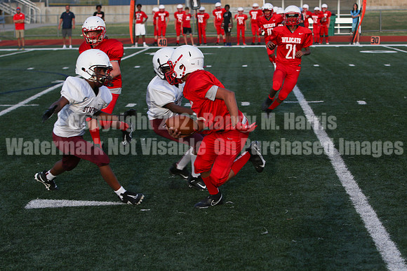 vs Stafford-5192