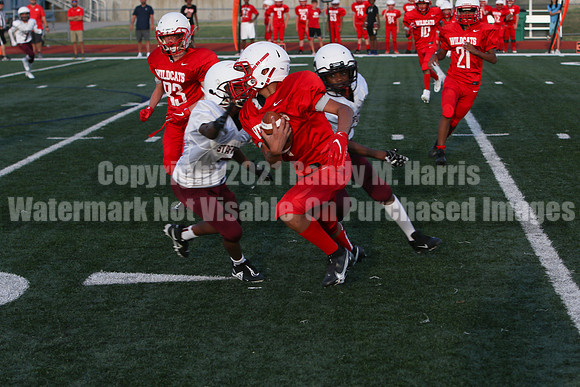 vs Stafford-5193
