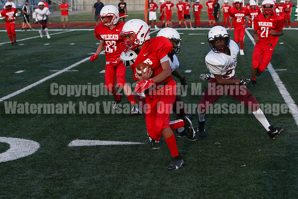 vs Stafford-5194