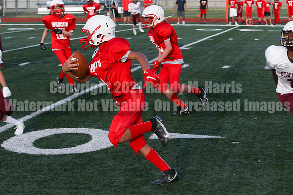 vs Stafford-5195