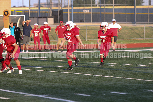 vs Stafford-5210
