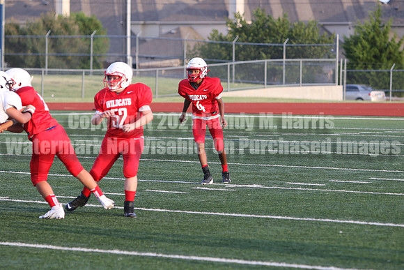 vs Stafford-5223