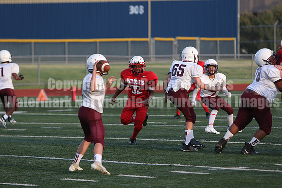 vs Stafford-5228