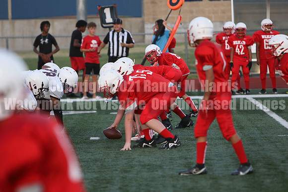 vs Stafford-5249