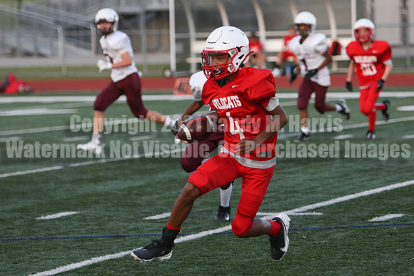 vs Stafford-5256