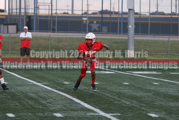 vs Stafford-5264