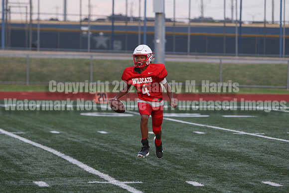 vs Stafford-5265