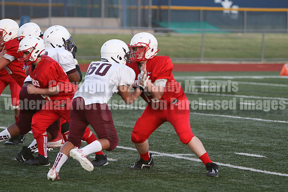 vs Stafford-5273