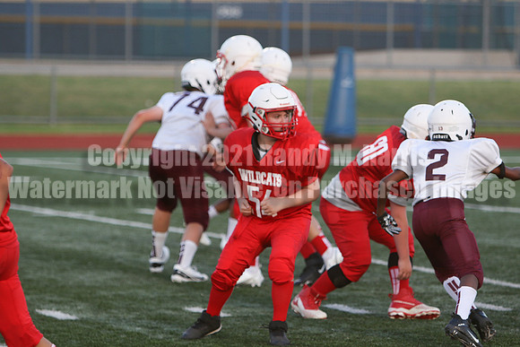 vs Stafford-5277