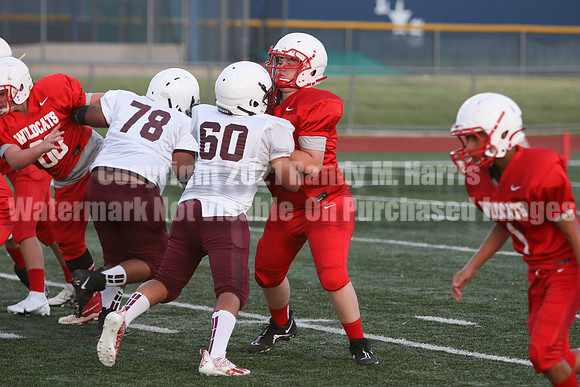 vs Stafford-5276