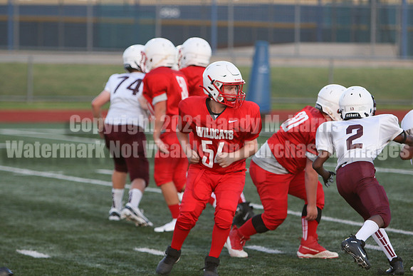 vs Stafford-5278