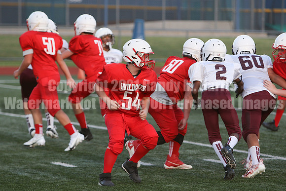 vs Stafford-5279