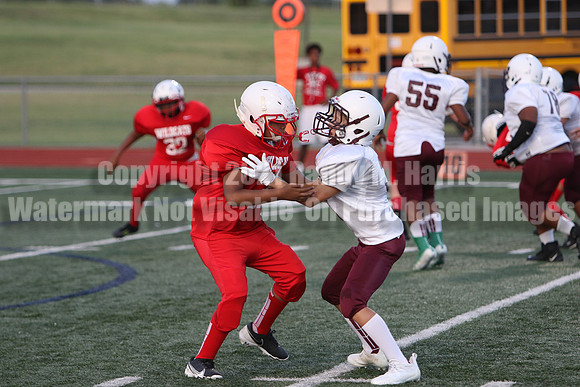 vs Stafford-5379