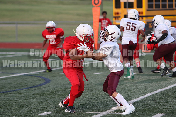 vs Stafford-5380
