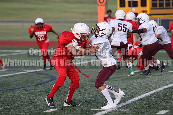 vs Stafford-5381
