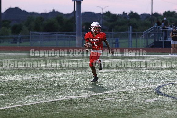 vs Stafford-5683