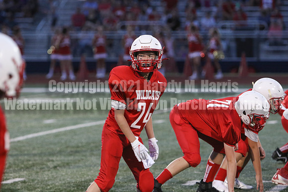 vs Stafford-5696