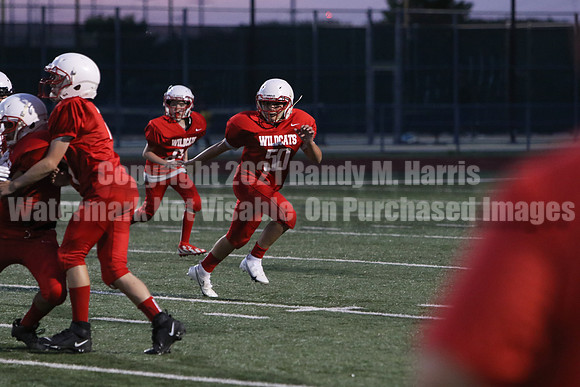 vs Stafford-5718