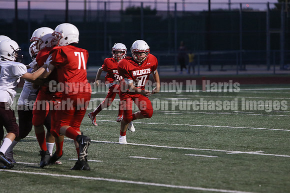 vs Stafford-5717