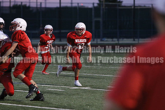 vs Stafford-5719