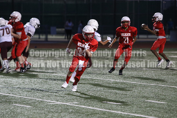 vs Stafford-5757