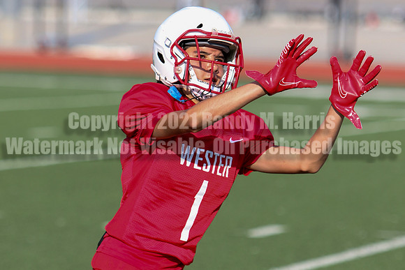 vs Nelson-5762
