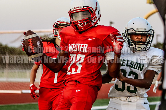 vs Nelson-
