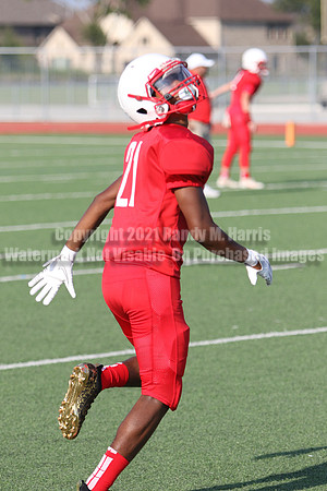 vs Nelson-5820