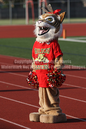 Cheer vs Nelson-5