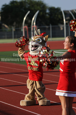 Cheer vs Nelson-7