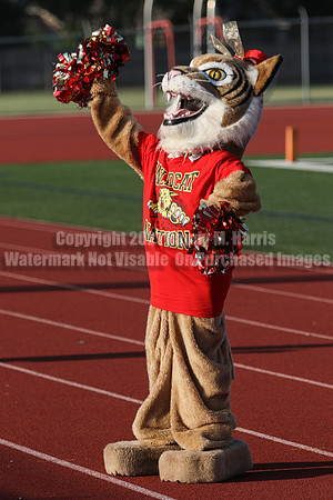 Cheer vs Nelson-6