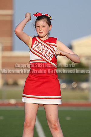 Cheer vs Nelson-56