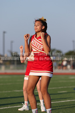 Cheer vs Nelson-65