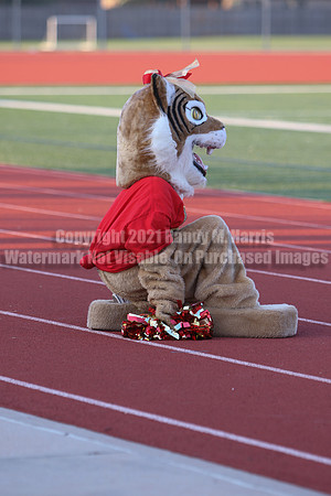 Cheer vs Nelson-71
