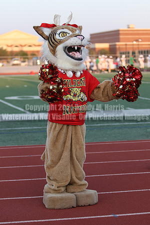 Cheer vs Nelson-73