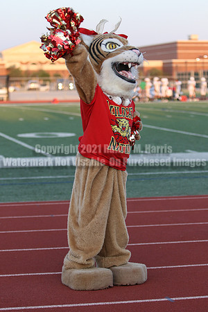 Cheer vs Nelson-77