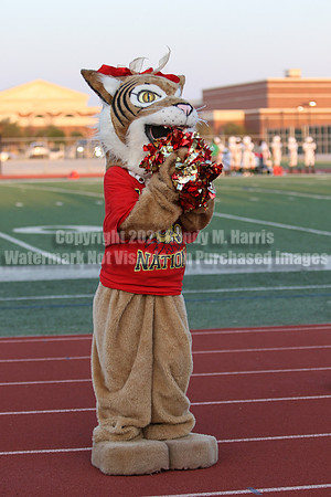Cheer vs Nelson-75