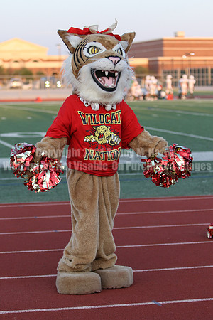 Cheer vs Nelson-79
