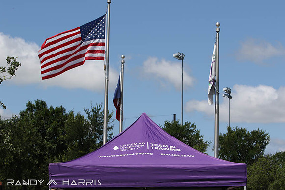 2019-SAC-3177