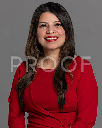 I. Mellado 2024 HS-15