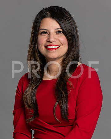 I. Mellado 2024 HS-31